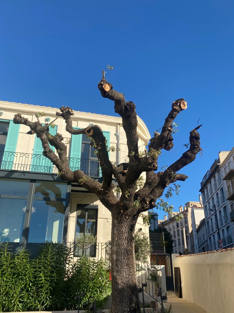 TK Provence concepteur de jardin