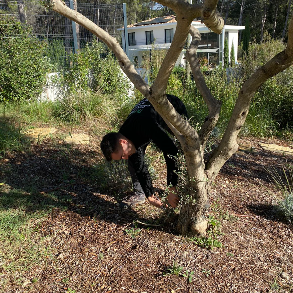 Tk Provence concepteur de jardin